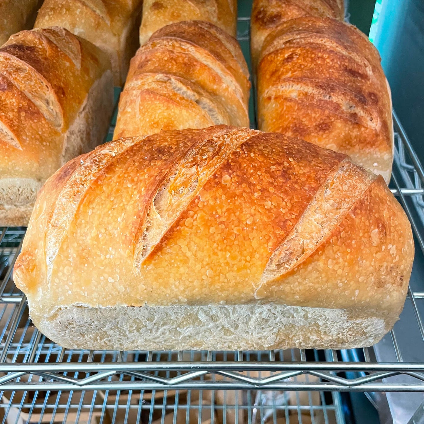 Sourdough Sandwich Loaf - Mrs. Sourdough