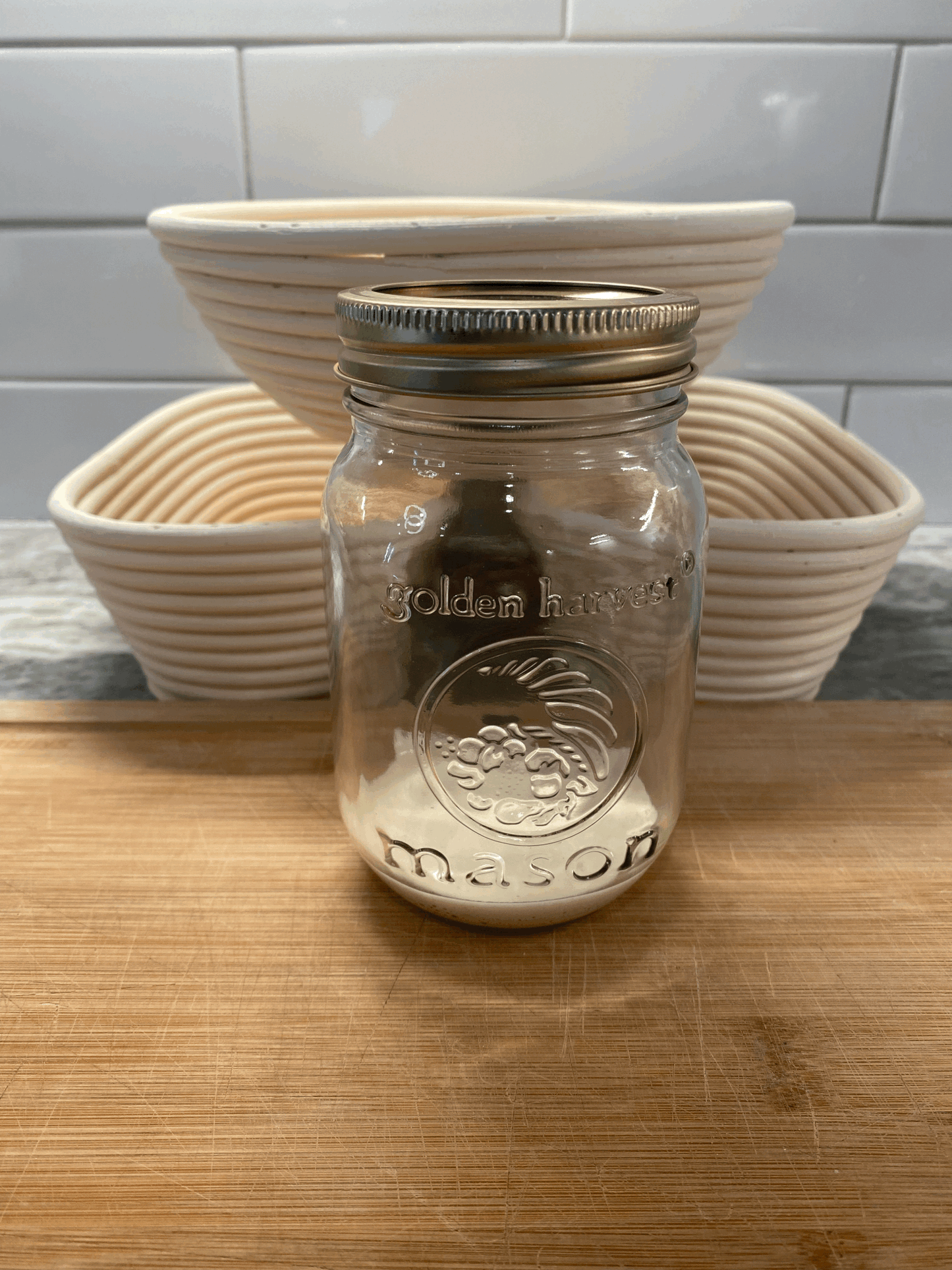 Sourdough Starter - Active - Mrs. Sourdough
