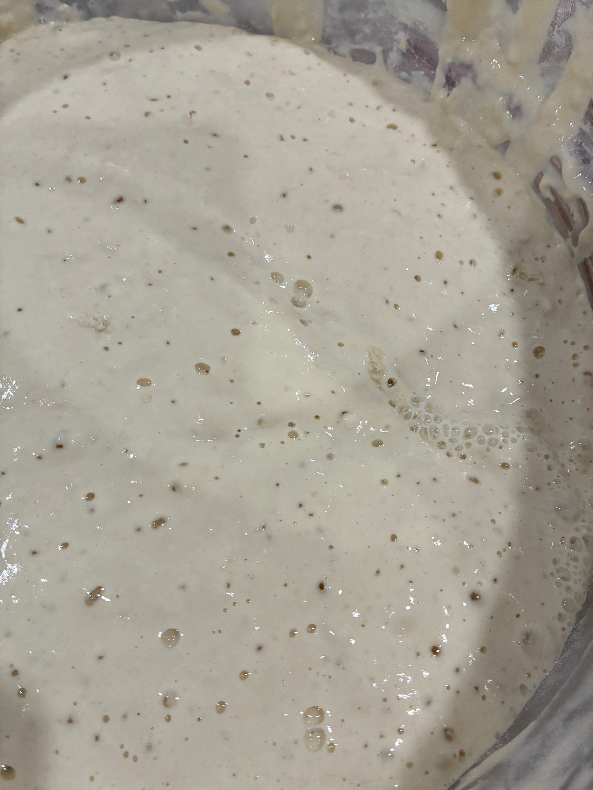 Sourdough Starter - Active - Mrs. Sourdough